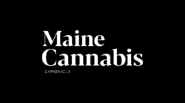 Maine Cannabis Chronicle